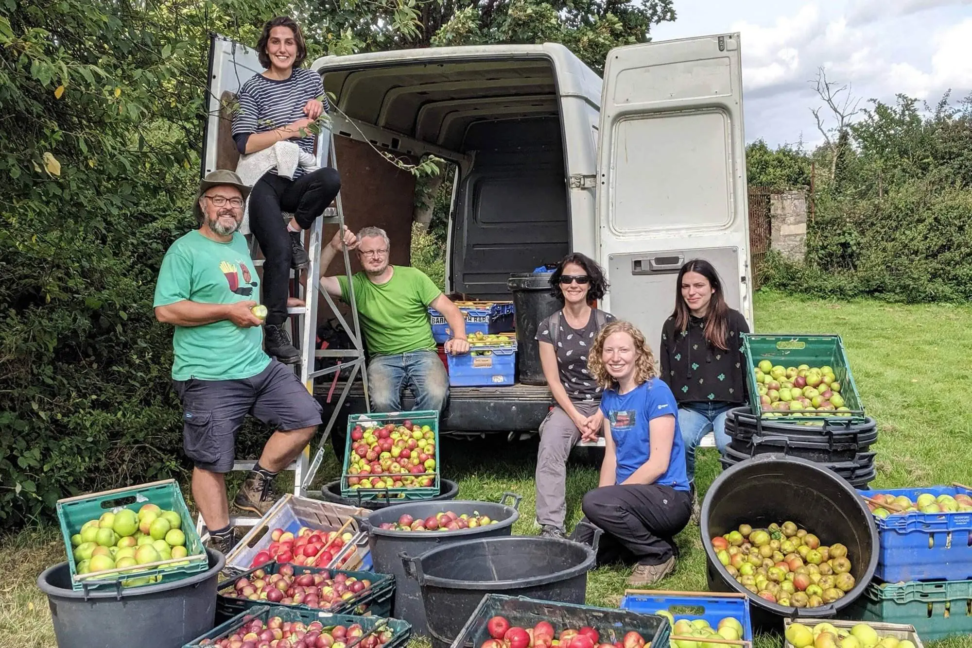 Sheffield Apple Harvest - Juice, Regather