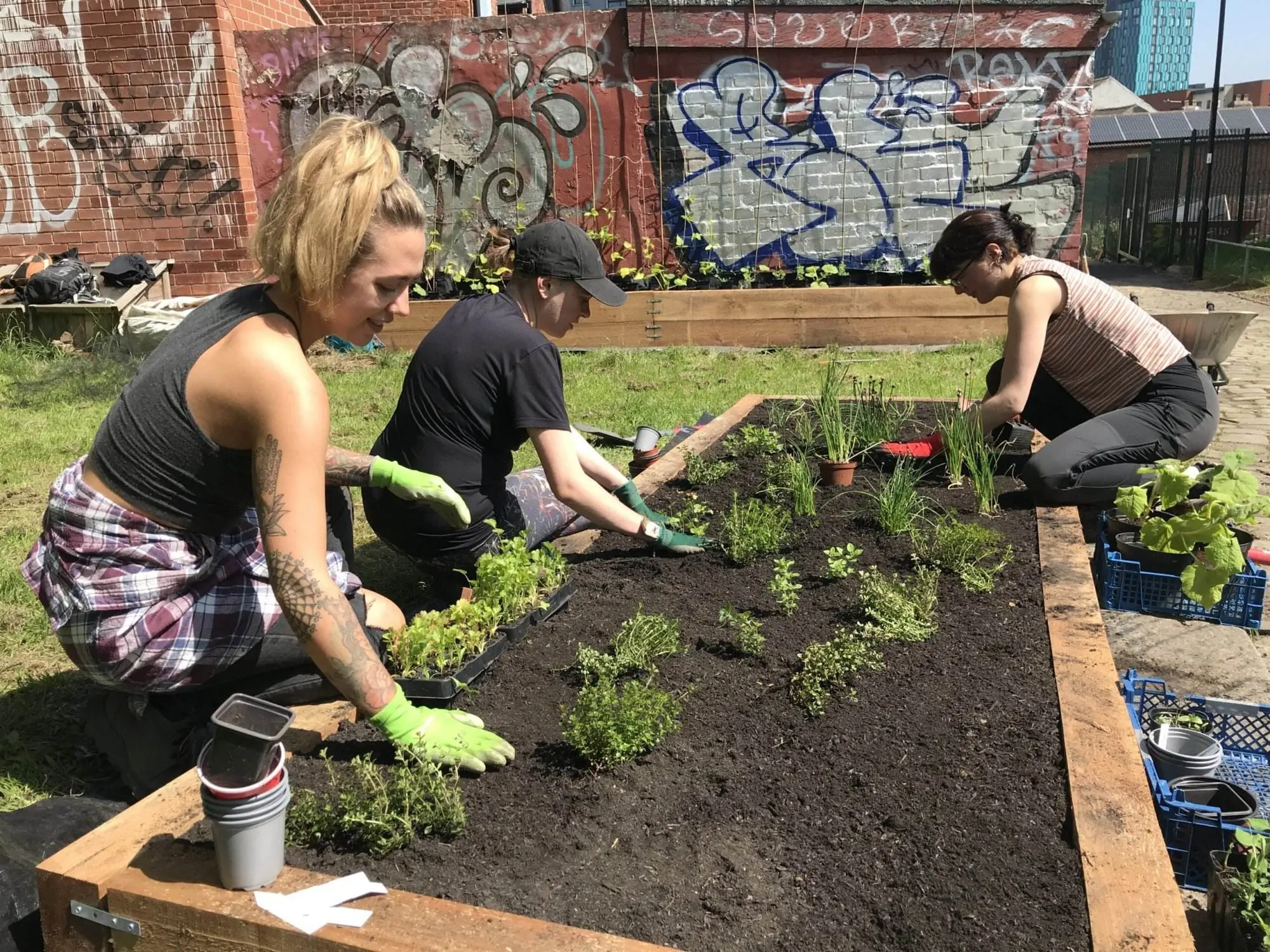 Organic Soil Association