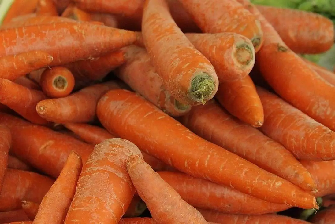 carrots