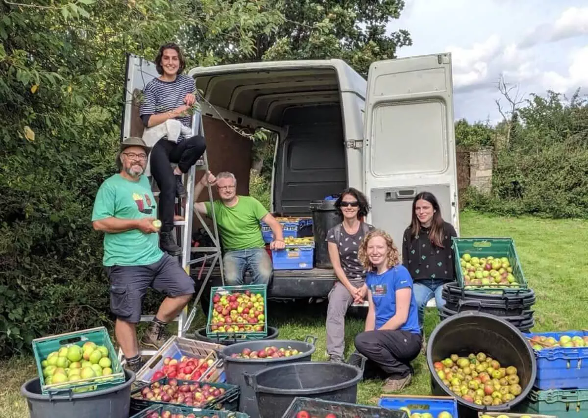 regather farm apple harvest web