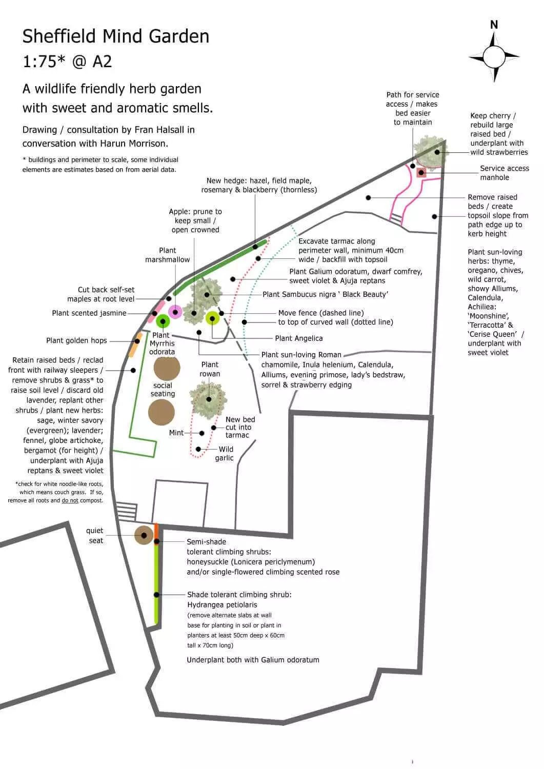 sheffield mind sensory herb garden