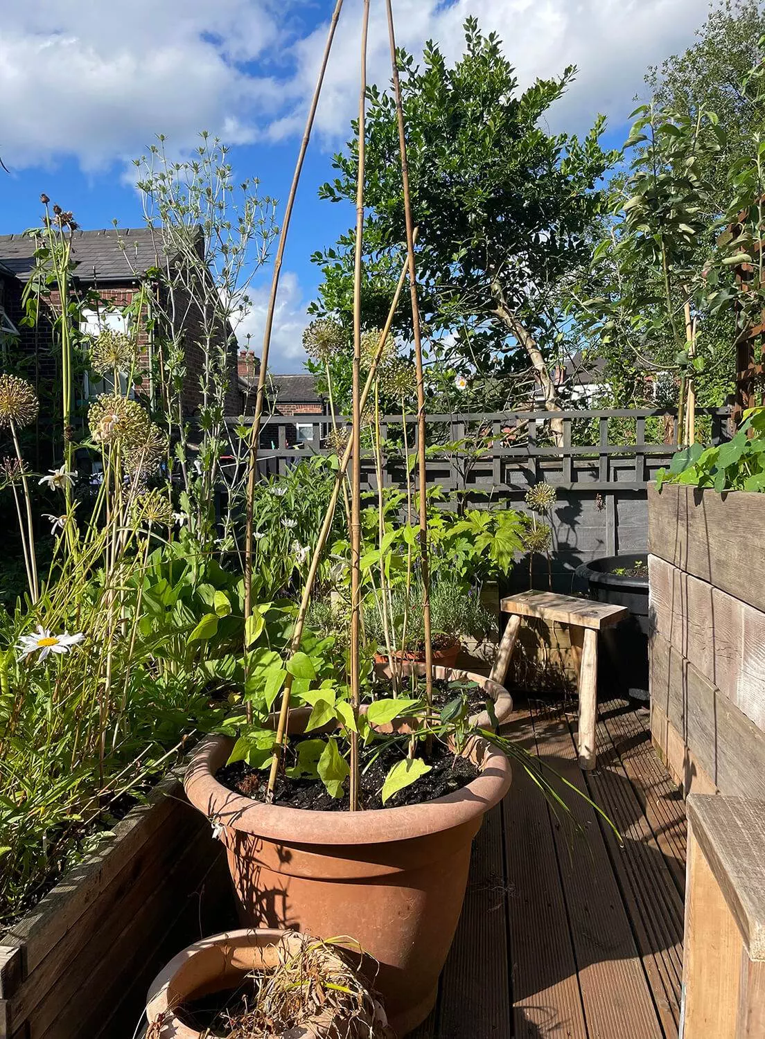 chloes finished garden raised planters on decking 2