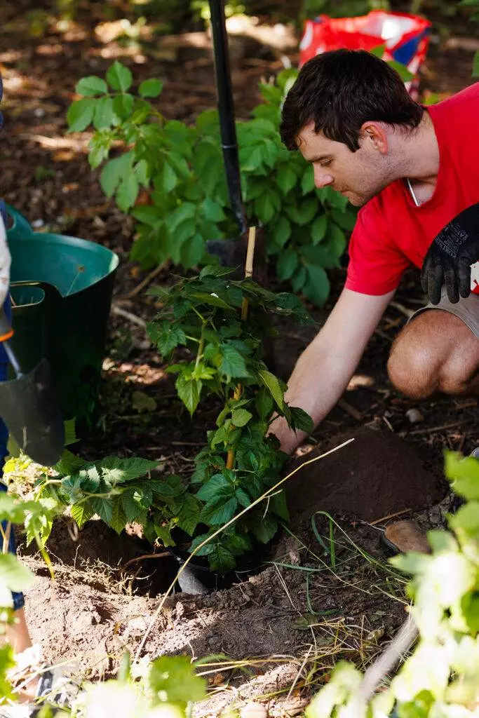 Volunteers helping transform space