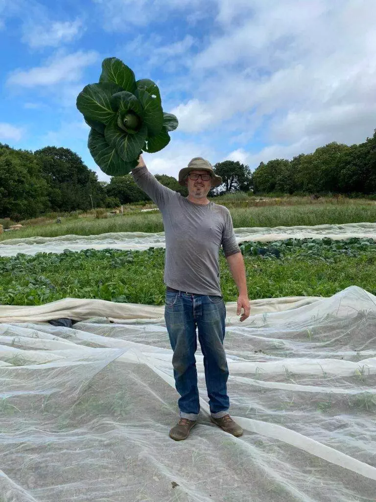 Doug proud of the first cabbage