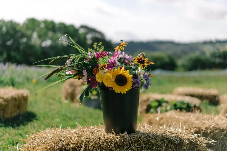 A beautiful bouquet of fresh flowers grown on Regather's flower farm